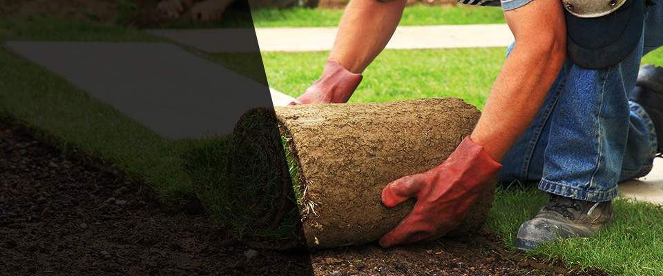 Gordo Landscapers